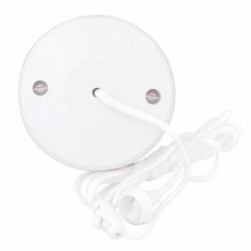 10A 2W CEILING SWITCH