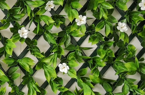 MERCER WONDERWALL WHITE FLOWER LEAF TRELLIS 1MX2M