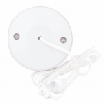 10A 2W CEILING SWITCH