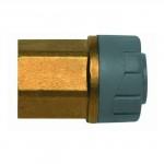 PLUMB FEMALE ADAPTOR 10X1/4 BSP